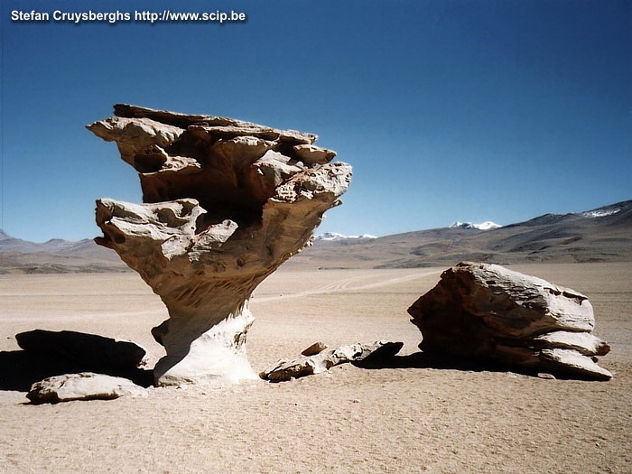 Uyuni - Arbol de Piedra Arbol de Piedra, oftewel boom van stenen. Stefan Cruysberghs